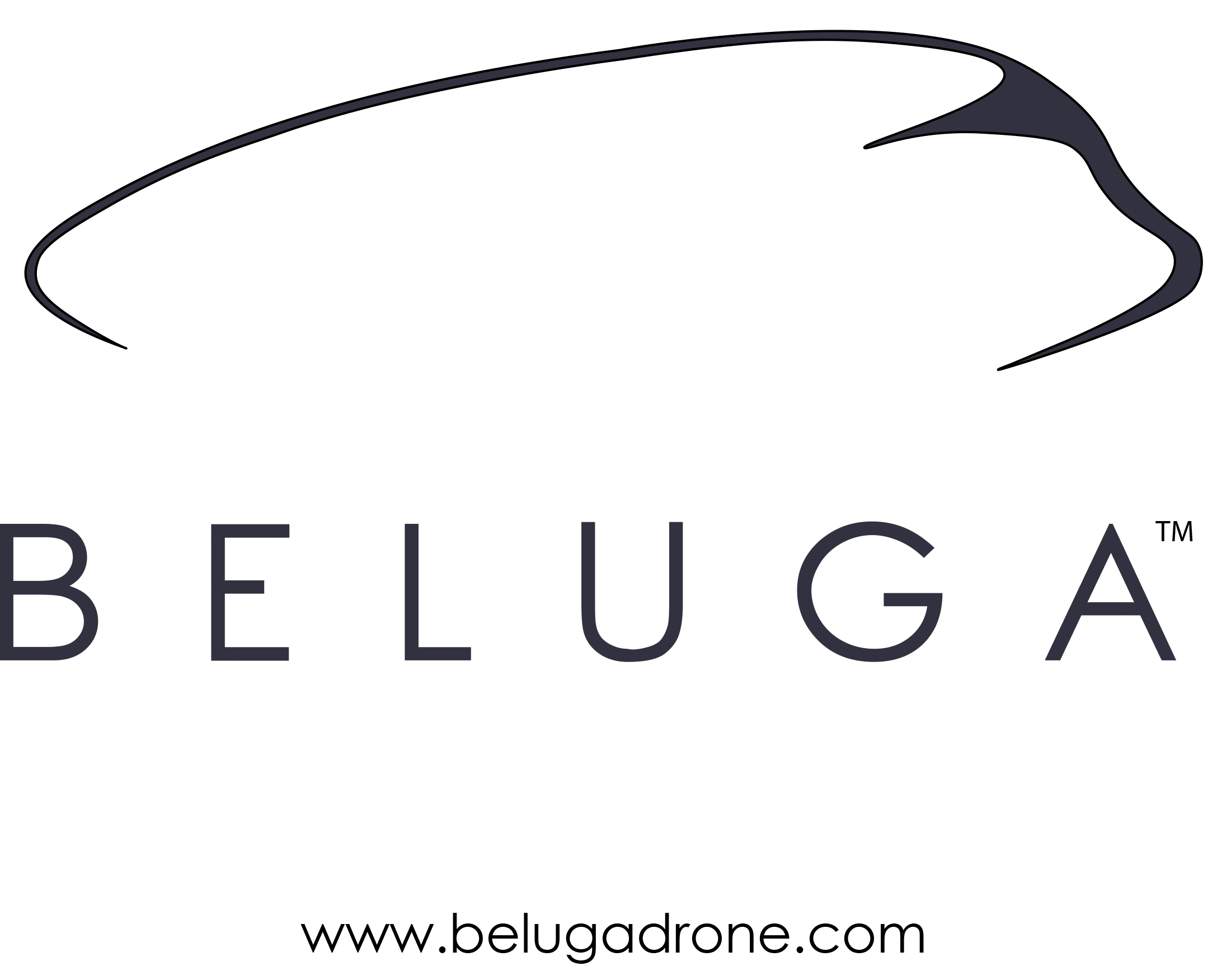 Logotype Beluga